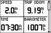 GARMIN Foretrex 401 Trip Computer